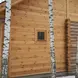 Планкен лиственница прямой 12*70*2500, сорт SF (0,175м2)